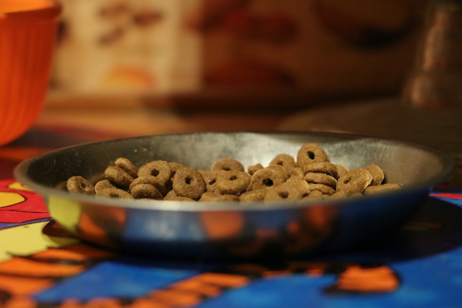 Stainless Steel Pet Bowl with Non-Slip Base